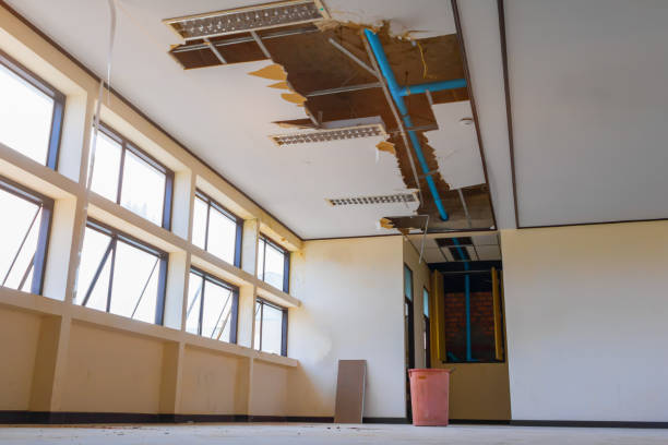 Best Water damage cleanup near me  in Dundee, MI