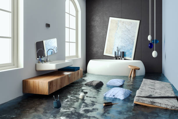 Water damage restoration mold remediation in Dundee, MI
