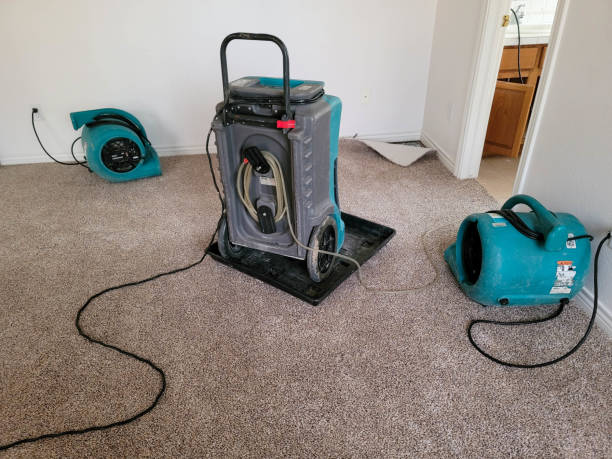 Best Water damage restoration services  in Dundee, MI
