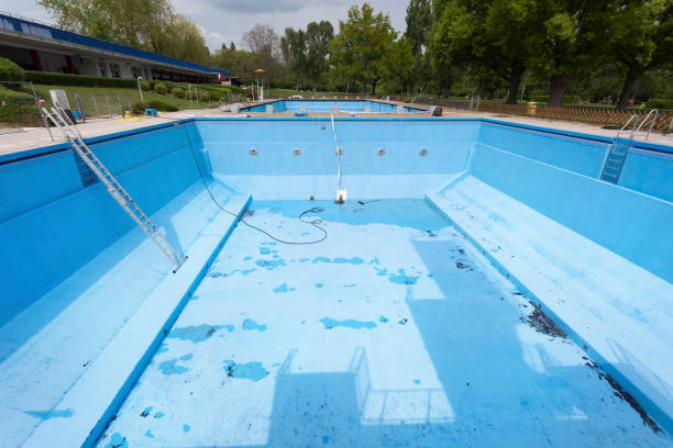 Best Mold removal after water damage  in Dundee, MI