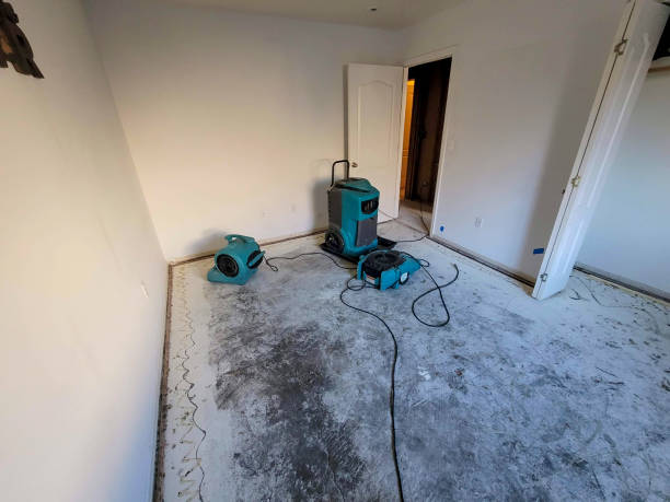 Best Sewage cleanup and water damage restoration  in Dundee, MI