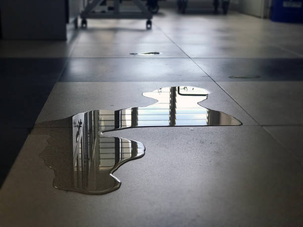 Professional Water damage restoration in Dundee, MI