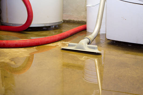 Best Commercial water damage restoration  in Dundee, MI