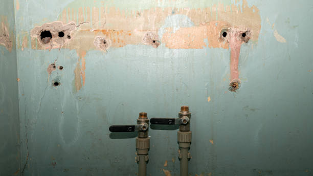 Best Emergency water damage restoration  in Dundee, MI