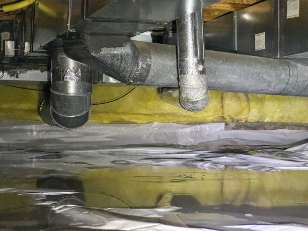 Best Local water damage restoration  in Dundee, MI