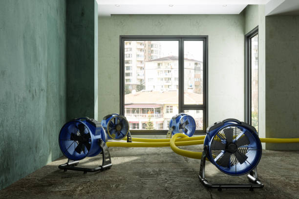 Best Fire Damage Restoration  in Dundee, MI