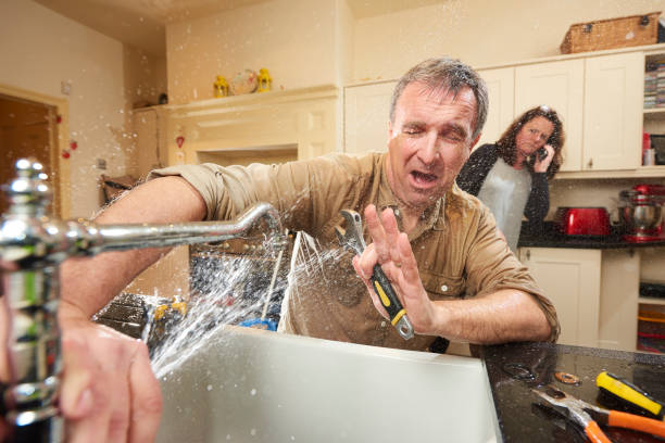 Best Water damage restoration experts  in Dundee, MI